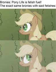 Size: 1281x1638 | Tagged: safe, derpibooru import, edit, edited screencap, screencap, applejack, pony, my little pony: pony life, the return of harmony, brony stereotype, discorded applejack, image, implied fetish, irony, jpeg, liarjack, looking back, meme, pony life drama drama