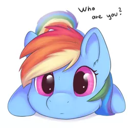 Size: 1024x1024 | Tagged: safe, artist:dbleki, derpibooru import, rainbow dash, pegasus, pony, 4th wall break, breaking the fourth wall, curious, cute, dashabetes, female, image, looking at you, png, redraw, simple background, solo, text, weapons-grade cute, white background