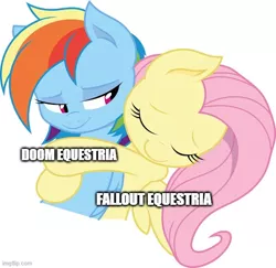Size: 512x497 | Tagged: safe, artist:joey darkmeat, derpibooru import, edit, fluttershy, rainbow dash, pony, fallout equestria, bethesda, caption, crossover, cute, doom equestria, eyes closed, female, flutterdash, friendship, hug, image, image macro, imgflip, lesbian, love, mare, meme, object labeling meme, png, shipping, simple background, text, white background
