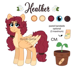 Size: 4100x3750 | Tagged: safe, artist:pink-pone, derpibooru import, oc, oc:heather, pegasus, pony, female, image, mare, png, reference sheet, simple background, solo, transparent background, two toned wings, wings