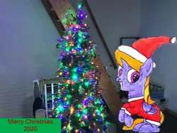 Size: 3264x2448 | Tagged: safe, artist:topsangtheman, derpibooru import, cloud kicker, pegasus, pony, christmas, christmas tree, holiday, image, irl, jpeg, looking at you, photo, ponies in real life, solo, traditional art, tree