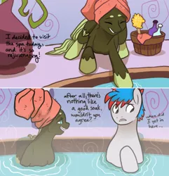 Size: 500x518 | Tagged: safe, artist:arboraims, derpibooru import, oc, oc:ickle muse, pegasus, pony, ask ickle muse, female, image, lowres, male, mare, png, ponyville spa, stallion, towel