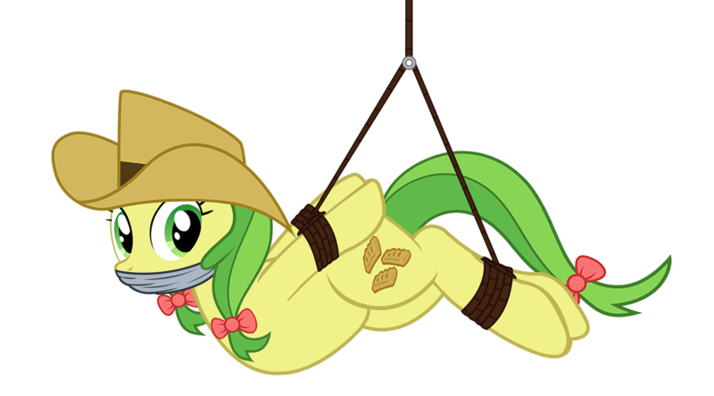 Size: 3930x2183 | Tagged: safe, artist:radiantrealm, derpibooru import, edit, apple fritter, earth pony, pony, apple family member, arm behind back, bondage, bound, bound and gagged, bow, cloth gag, cowboy hat, female, gag, hair bow, hat, image, mare, otn gag, over the nose gag, png, rope, rope bondage, simple background, solo, suspended, suspension bondage, tied up, transparent background, vector