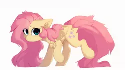 Size: 2014x1130 | Tagged: safe, artist:little-sketches, derpibooru import, fluttershy, pegasus, pony, butt fluff, chest fluff, cute, ear fluff, female, floppy ears, fluffy, image, jpeg, leg fluff, looking at you, mare, shyabetes, simple background, smiling, solo, white background