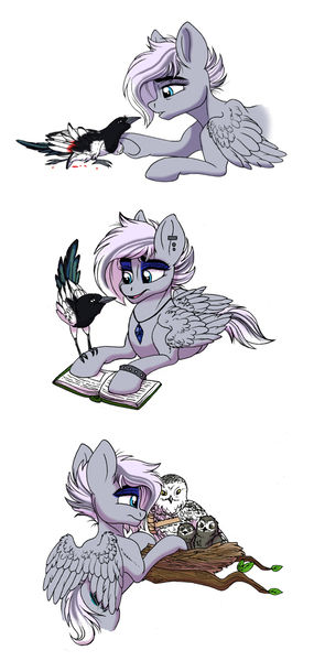 Size: 700x1476 | Tagged: safe, artist:celestial-rainstorm, derpibooru import, oc, oc:ophelia, bird, pegasus, pony, book, female, image, jpeg, mare, offspring, parent:double diamond, parent:night glider, parents:nightdiamond, simple background, solo, white background