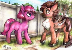 Size: 4951x3464 | Tagged: safe, artist:furiarossaandmimma, derpibooru import, oc, oc:dolce mocha, oc:violet petal, unofficial characters only, earth pony, pegasus, pony, blank flank, blushing, female, fence, flirting, glare, image, jpeg, looking at each other, male, mare, outdoors, shipping, stallion, standing, straight, surprised, traditional art, tree, unshorn fetlocks