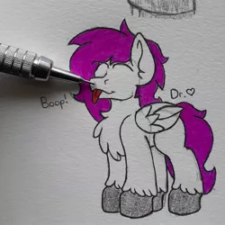 Size: 2296x2296 | Tagged: safe, artist:drheartdoodles, derpibooru import, oc, oc:dr.heart, unofficial characters only, clydesdale, pegasus, :p, ^3^, boop, chest fluff, color, cute, image, jpeg, smiling, tongue out, traditional art