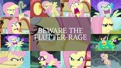 Size: 1986x1117 | Tagged: safe, derpibooru import, edit, edited screencap, editor:quoterific, screencap, basil, fluttershy, neon brush, saddle rager, dragon, best gift ever, buckball season, dragonshy, fame and misfortune, power ponies (episode), putting your hoof down, the best night ever, the return of harmony, behaving like rainbow dash, flutterhulk, flutterrage, image, implied rainbow dash, measuring tape, png, power ponies, stare, the stare, train, you're going to love me