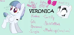 Size: 2500x1176 | Tagged: safe, artist:chiarinuk, derpibooru import, oc, oc:veronica, pegasus, pony, female, image, pegasus oc, png, solo, wings