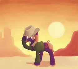 Size: 1800x1600 | Tagged: safe, artist:srbolsa, derpibooru import, oc, unofficial characters only, earth pony, desert, hat, image, jpeg, solo, sun