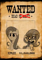 Size: 914x1289 | Tagged: safe, derpibooru import, fluttershy, my little pony: pony life, hate, image, png, wanted poster