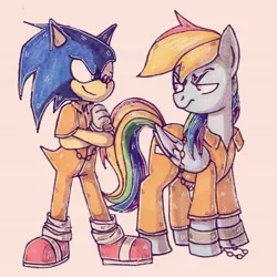 Size: 640x640 | Tagged: safe, artist:pyatka-the-best, derpibooru import, bound wings, chained, clothes, cuffs, image, jpeg, prisoner rd, prison outfit, sonic the hedgehog, sonic the hedgehog (series), sonic vs rainbow dash, wings