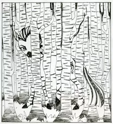 Size: 1448x1595 | Tagged: safe, artist:weird--fish, derpibooru import, oc, unofficial characters only, zebra, birch, grayscale, image, jpeg, monochrome, solo, traditional art, tree, watercolor painting