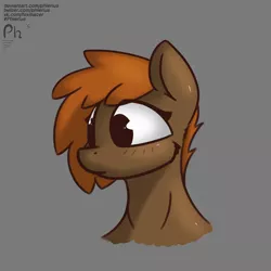 Size: 3000x3000 | Tagged: safe, artist:phlerius, derpibooru import, oc, pony, digital art, image, my little pony, png, solo