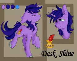 Size: 1942x1539 | Tagged: safe, artist:yuris, derpibooru import, oc, oc:dask shine, pony, unicorn, image, png, reference sheet, solo