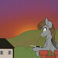 Size: 2048x2048 | Tagged: safe, artist:celiamontigre, derpibooru import, oc, oc:devin, unofficial characters only, bat pony, pony, building, colored, evening, flat colors, hill, holding, image, jpeg, knife, solo, stare, sunset, switchblade, wings