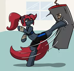 Size: 1266x1216 | Tagged: safe, artist:n-o-n, derpibooru import, oc, oc:jessi-ka, oc:louvely, earth pony, pony, angry, badass, bipedal, clothes, fight, image, kicking, png, punching bag, shorts, solo, sports bra, sports shorts, sporty style, sweat, sweatdrop