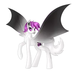 Size: 1280x1221 | Tagged: safe, artist:starflightmlp, derpibooru import, oc, oc:tomas, bat pony, pony, colored wings, image, male, png, simple background, solo, stallion, transparent background, wings