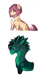 Size: 4000x7268 | Tagged: safe, artist:venommocity, derpibooru import, oc, oc:cookie butter, oc:tahna, draconequus, earth pony, pony, absurd resolution, female, image, mare, offspring, parent:cheese sandwich, parent:pinkie pie, parents:cheesepie, png, simple background, white background