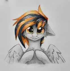 Size: 2757x2788 | Tagged: safe, artist:dorkmark, derpibooru import, oc, oc:mayday, unofficial characters only, pegasus, pony, commission, confused, image, jpeg, looking at you, photo, solo, traditional art