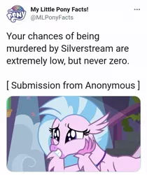 Size: 717x853 | Tagged: safe, derpibooru import, silverstream, image, jpeg, meta, my little pony facts, ron the death eater, text, twitter, twitter link, your chances are low but never zero