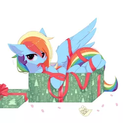 Size: 1500x1500 | Tagged: safe, artist:heddopen, derpibooru import, rainbow dash, pegasus, pony, adorasexy, blushing, box, christmas, cute, dashabetes, ear fluff, eyelashes, female, holiday, hooves, if i fits i sits, image, looking at you, mane, mare, mouth hold, note, png, pony in a box, present, ribbon, sexy, simple background, solo, spread wings, stuck, stupid sexy rainbow dash, sweet dreams fuel, tail, white background, wing fluff, wings