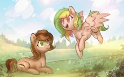 Size: 2985x1848 | Tagged: safe, artist:mirroredsea, derpibooru import, oc, oc:fruity extra, oc:nutty special, unofficial characters only, earth pony, pegasus, pony, duo, eye clipping through hair, female, flying, freckles, image, jpeg, mare, open mouth, scenery, sitting, smiling, spread wings, wings