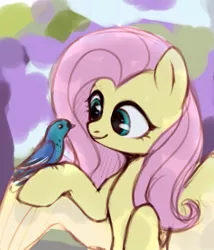 Size: 923x1080 | Tagged: safe, artist:laymy, derpibooru import, fluttershy, bird, pegasus, pony, bust, colored sketch, cute, female, holding, image, jpeg, looking at something, mare, raised hoof, shyabetes, sketch, smiling, solo, spread wings, that pony sure does love animals, three quarter view, wings
