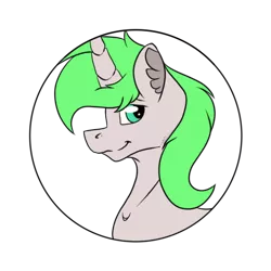 Size: 512x512 | Tagged: safe, artist:chazmazda, derpibooru import, oc, pony, bust, bust shot, commission, commissions open, flatcolours, fluffy, green eyes, green hair, image, photo, png, portrait, shiny eyes, simple background, solo, transparent, transparent background