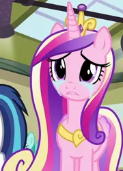 Size: 792x1097 | Tagged: safe, derpibooru import, screencap, princess cadance, shining armor, spring melody, sprinkle medley, alicorn, pony, a flurry of emotions, cropped, crying, female, image, mare, png, princess sadance, solo focus