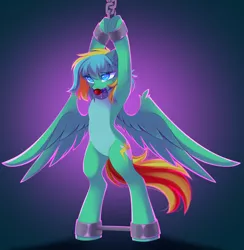 Size: 3024x3100 | Tagged: suggestive, alternate version, artist:airiniblock, derpibooru import, oc, oc:typhoon, unofficial characters only, pegasus, pony, ballgag, bondage, chains, drool, gag, image, png, rcf community, solo, spreader bar