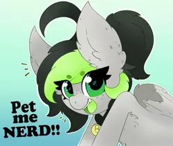 Size: 2164x1825 | Tagged: safe, artist:pegamutt, derpibooru import, oc, oc:bree, oc:bree jetpaw, pegasus, big ears, collar, cowlick, fangs, fluffy, freckles, image, jpeg, looking at you, open mouth, pegamutt, ponytail, solo, spots, text
