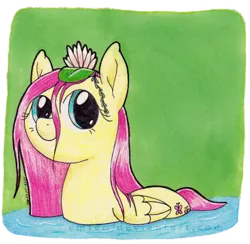 Size: 800x781 | Tagged: safe, artist:emfen, derpibooru import, fluttershy, pegasus, pony, behaving like a bird, cute, female, flower, flower in hair, folded wings, image, lilypad, looking at you, mare, png, pond, shyabetes, smiling, solo, stray strand, three quarter view, traditional art, water, water lily, wet, wet mane, wings