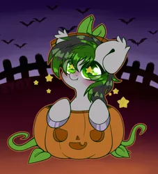 Size: 2000x2200 | Tagged: safe, artist:etoz, derpibooru import, oc, unofficial characters only, bat, bat pony, pony, bat pony oc, bat wings, blushing, chibi, commission, cute, fangs, halloween, holiday, image, male, png, pumpkin, smiling, stallion, starry eyes, stars, wingding eyes, wings, ych result