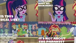 Size: 1986x1117 | Tagged: safe, derpibooru import, edit, edited screencap, editor:quoterific, screencap, flam, flim, golden hazel, sandalwood, sci-twi, sunset shimmer, twilight sparkle, equestria girls, equestria girls series, rollercoaster of friendship, angry, duo, duo female, duo male, female, flim flam brothers, glasses, image, it's not about the parakeet, male, messy hair, open mouth, png, rage, rageset shimmer