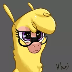 Size: 2000x2000 | Tagged: safe, artist:hitsuji, derpibooru import, paprika paca, alpaca, them's fightin' herds, community related, eyewear, glasses, gray background, image, png, purple eyes, serious, serious face, simple background, solo