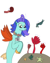 Size: 2354x2991 | Tagged: safe, artist:supahdonarudo, derpibooru import, oc, oc:sea lilly, unofficial characters only, ammonite, anomalocaris, seapony (g4), starfish, trilobite, camera, crinoid, image, jewelry, necklace, png, shell, simple background, transparent background