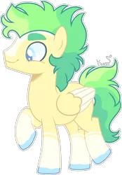 Size: 2055x2961 | Tagged: safe, artist:kurosawakuro, derpibooru import, oc, pegasus, pony, image, male, offspring, parent:lightning streak, parent:misty fly, png, simple background, solo, stallion, transparent background, two toned wings, wings