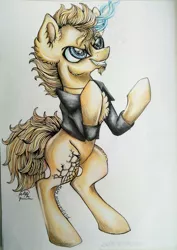 Size: 725x1024 | Tagged: safe, artist:maryhoovesfield, derpibooru import, oc, unofficial characters only, pony, unicorn, bipedal, chest fluff, clothes, ear fluff, evil grin, glowing horn, grin, horn, image, jacket, jpeg, signature, smiling, solo, traditional art, unicorn oc