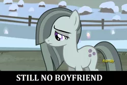 Size: 1278x858 | Tagged: safe, derpibooru import, edit, edited screencap, screencap, marble pie, earth pony, pony, hearthbreakers, caption, discovery family logo, female, image, image macro, lonely, mare, png, sad, single, solo, text, tfw no bf