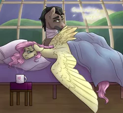 Size: 1280x1173 | Tagged: safe, artist:periwinklechick, derpibooru import, doctor caballeron, fluttershy, earth pony, pegasus, pony, bags under eyes, bed, caballershy, coffee mug, female, image, jpeg, male, morning, morning ponies, mug, shipping, spread wings, straight, sunrise, wings