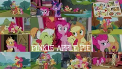 Size: 1986x1117 | Tagged: safe, derpibooru import, edit, edited screencap, editor:quoterific, screencap, apple bloom, applejack, big macintosh, goldie delicious, granny smith, pinkie pie, twilight sparkle, pinkie apple pie, apples to the core, book, cart, golden oaks library, image, library, png, raft, scroll