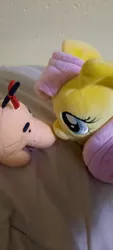 Size: 1800x4000 | Tagged: safe, derpibooru import, fluttershy, pegasus, pony, boop, image, jpeg, mr. saturn, noseboop, plushie