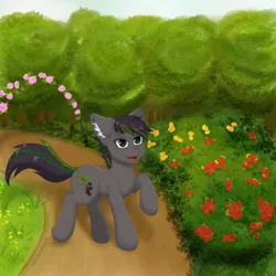 Size: 3000x3000 | Tagged: safe, artist:nekoshanka, derpibooru import, oc, oc:thistle, unofficial characters only, earth pony, pony, bush, cute, ear fluff, flower, forest, forest background, garden, green eyes, image, male, open mouth, path, png, rose, solo, tree