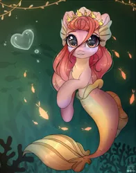 Size: 1645x2093 | Tagged: safe, artist:reterica, derpibooru import, oc, unofficial characters only, fish, merpony, original species, adoptable, bubble, chest fluff, female, heart, image, jpeg, looking at you, solo, swimming, underwater