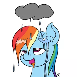 Size: 1080x1080 | Tagged: safe, artist:mkogwheel, derpibooru import, rainbow dash, fish, pegasus, pony, acid rain, brainlet, bust, dent, dented dash, drool, image, png, portrait, rain