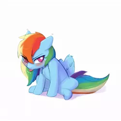 Size: 1024x1024 | Tagged: safe, artist:captainpudgemuffin, derpibooru import, rainbow dash, pegasus, pony, angry, blushing, captainpudgemuffin is trying to murder us, chest fluff, cute, dashabetes, female, grumpy, grumpy dash, image, jpeg, madorable, pudge's pretty pouting ponies, raspberry, simple background, sitting, solo, spread wings, tongue out, tsunderainbow, tsundere, white background, wings