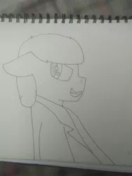 Size: 1944x2592 | Tagged: safe, artist:derpy_the_duck, derpibooru import, oc, oc:lucky, earth pony, fallout equestria, image, jpeg, monochrome, photo, redraw, redrawn, solo, traditional art