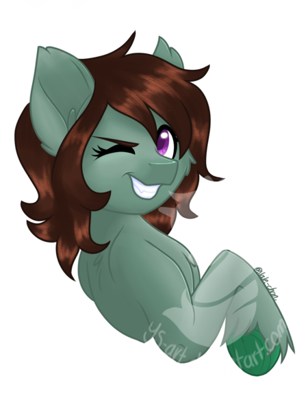 Size: 1080x1440 | Tagged: safe, artist:silentwolf-oficial, derpibooru import, oc, unofficial characters only, earth pony, pony, bust, earth pony oc, grin, image, one eye closed, png, signature, simple background, smiling, solo, transparent background, unshorn fetlocks, watermark, wink