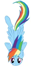 Size: 1280x3043 | Tagged: safe, artist:benpictures1, derpibooru import, rainbow dash, pegasus, pony, a dog and pony show, cute, dashabetes, falling, female, image, inkscape, png, simple background, solo, vector, white background